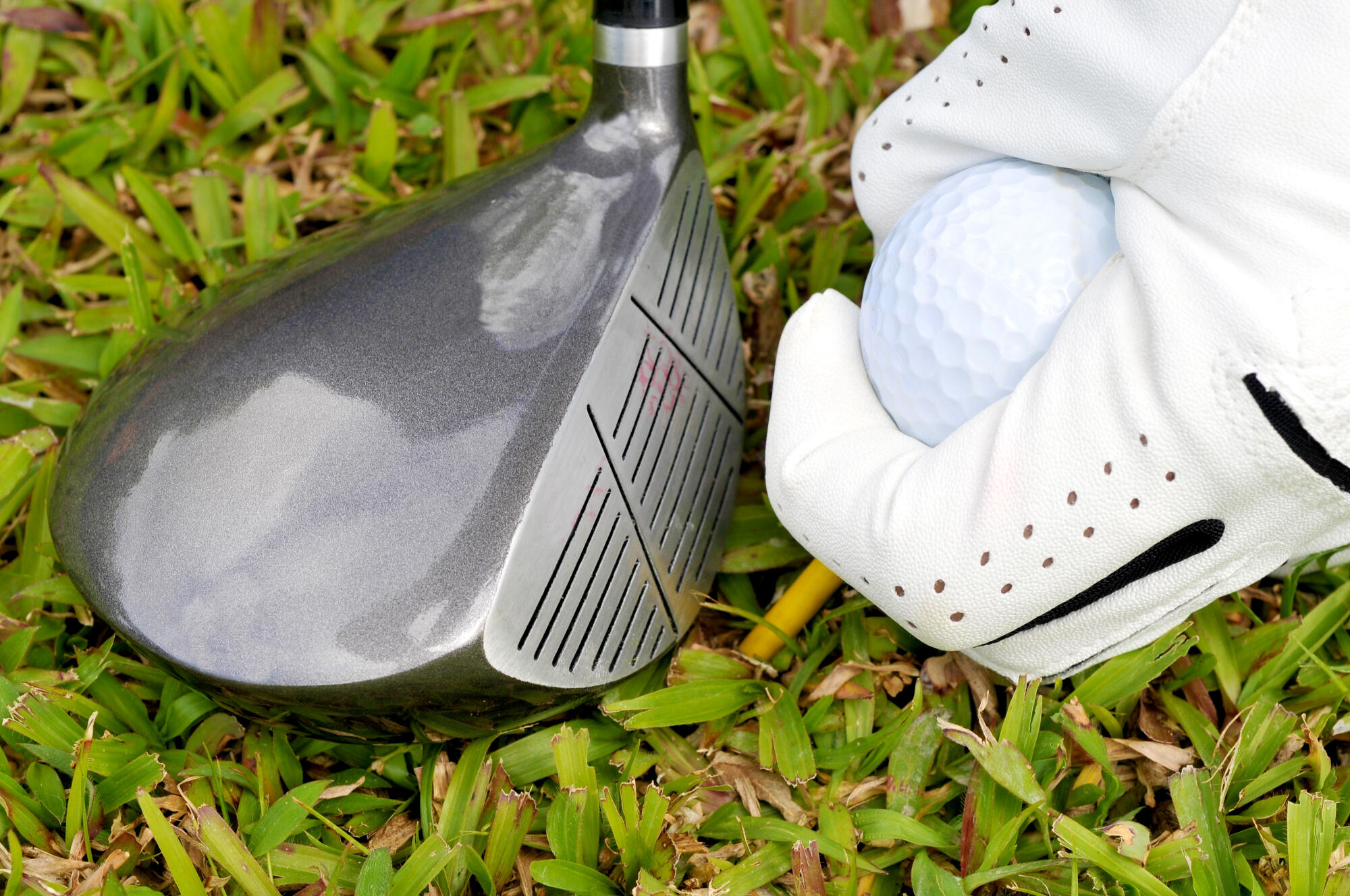 Best Golf Driver for Beginners: Top Picks and Reviews